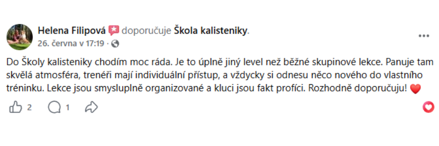 Textová recenze 2