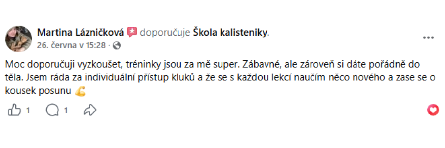 Textová recenze 6