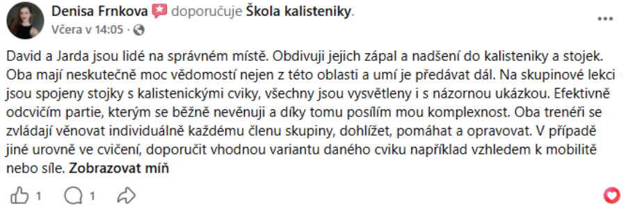 Textová recenze 4