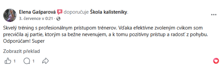 Textová recenze 9