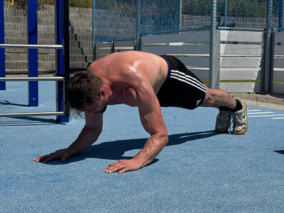 Negative plank to elbow